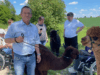 Alpakawanderung Tagespflegen - Senior mit Alpaka