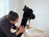 Seniorin streichelt Alpaka